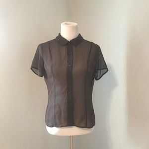 Brown Express Short Sleeve Sheer Blouse NWT